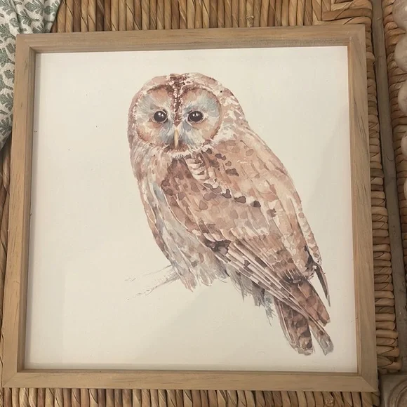 NWT Creative Co-op framed art set of 2 owl (12” x 12”) & deer (12” x 10”) - Picture 2 of 6